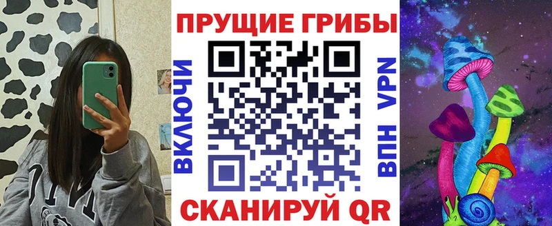 наркота  Сортавала  Псилоцибиновые грибы Psilocybine cubensis 